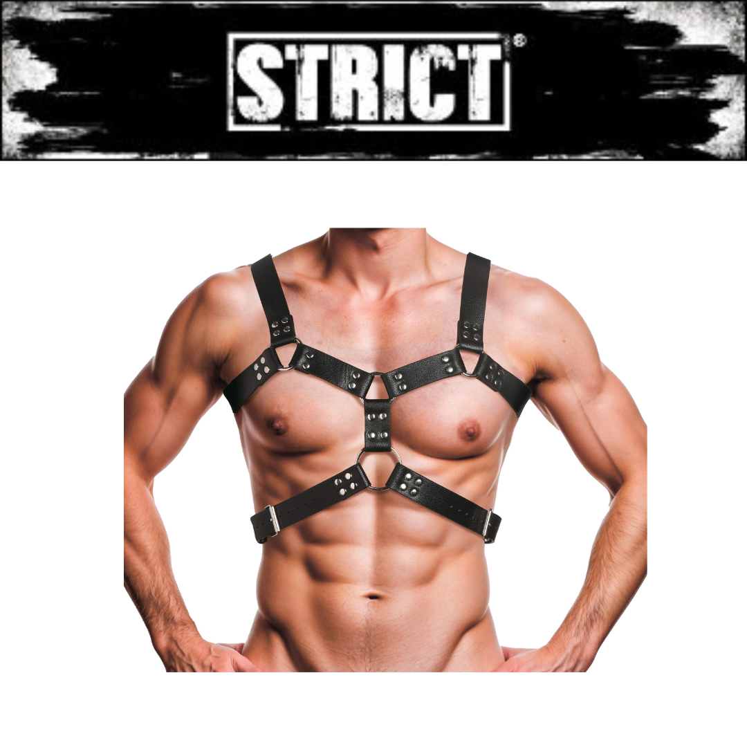 6 O-ring Chest Harness