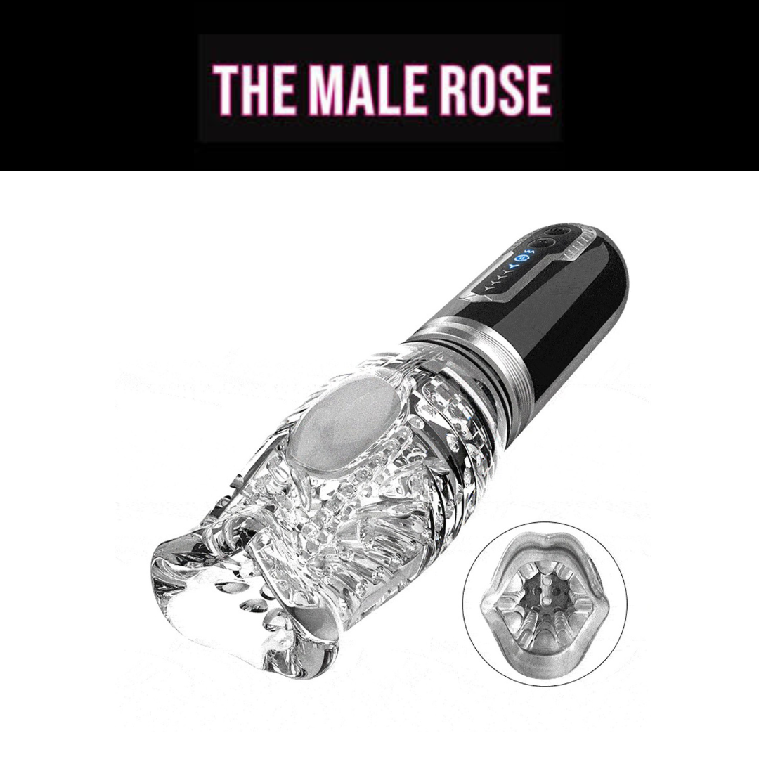 The Male Rose 3