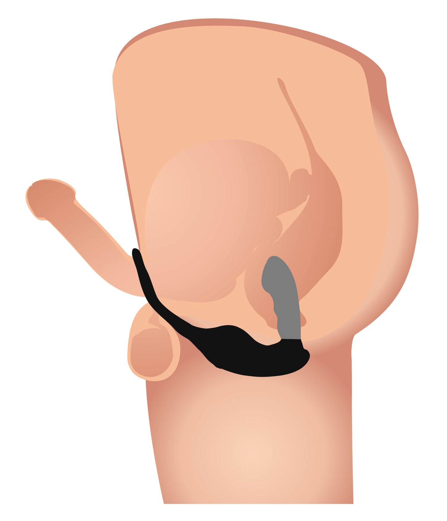 7x P-strap Milking & Vibrating Prostate Stimulator With Cock & Ball Harness