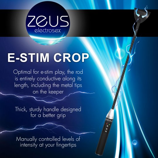 Zeus Electrosex E-stim Crop