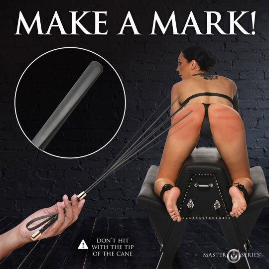 Master Series Sinful Impact Cane