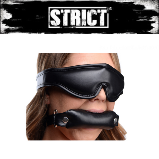 Padded Blindfold & Gag Set