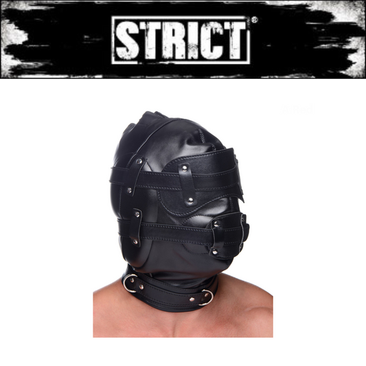Bondage Hood With Penis Gag