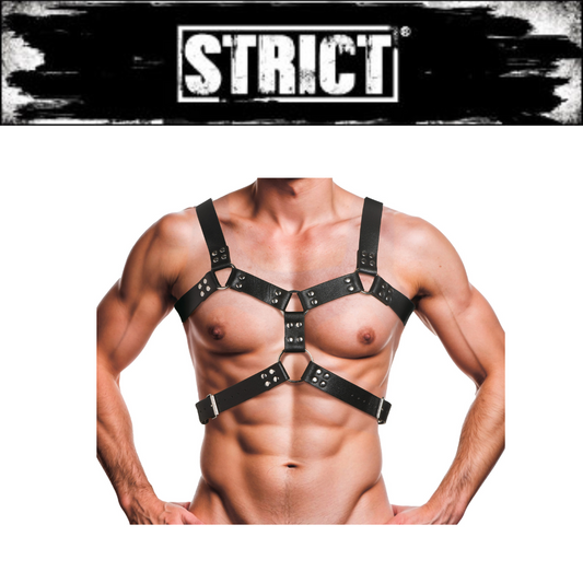 6 O-ring Chest Harness