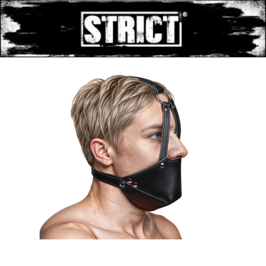 Mouth Harness With Ball Gag