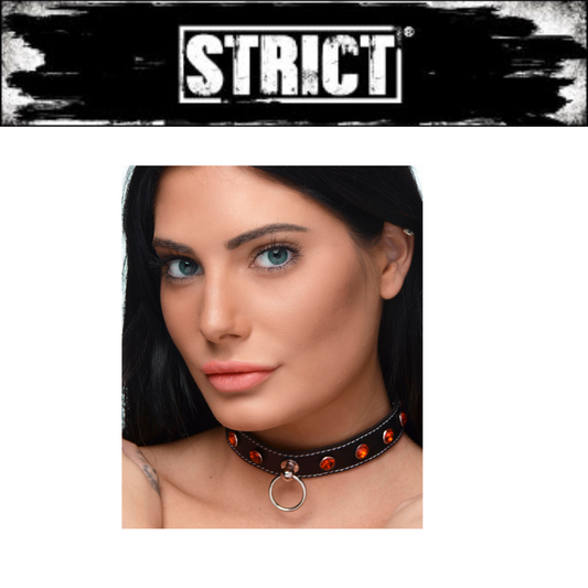 Red Rhinestone Choker With O-ring