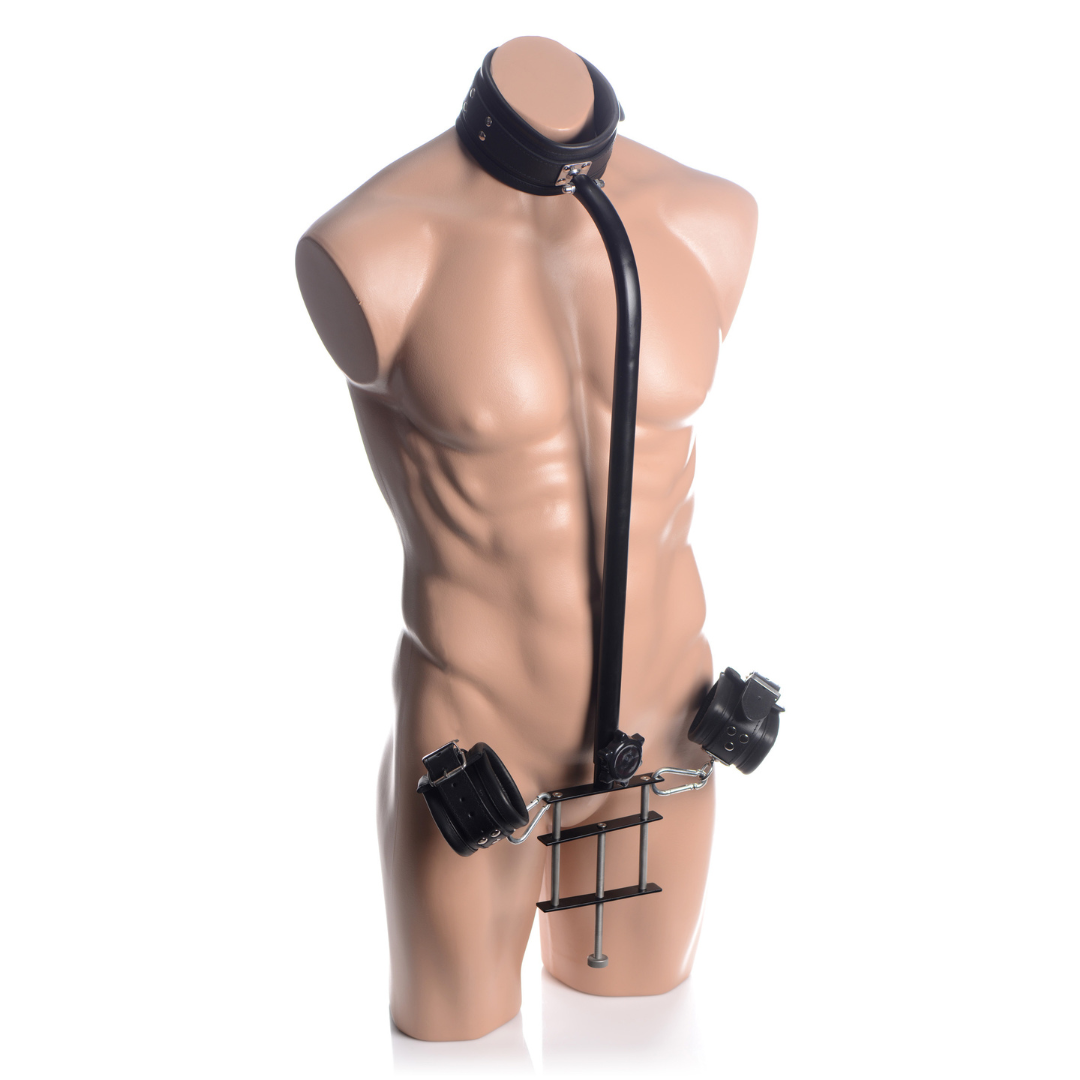 Penis Pillory Set