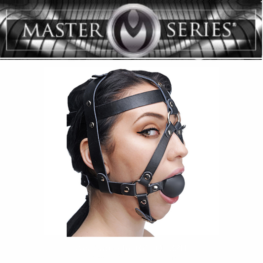 Leather Head Harness With Ball Gag