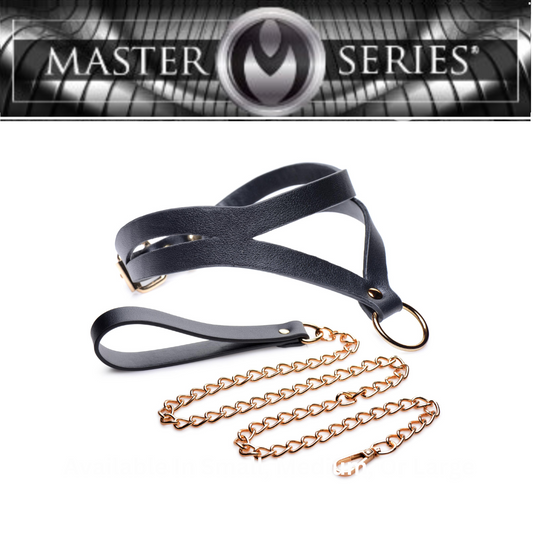 Black And Gold Collar With Leash Kit