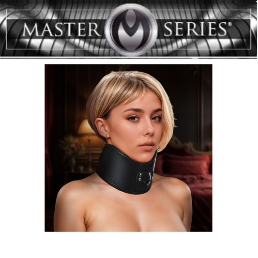 Hard Stance Padded Locking Posture Collar
