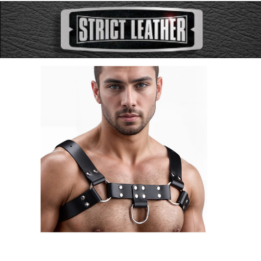 English Bull Dog Harness