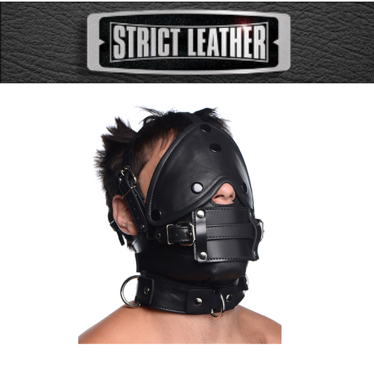 Leather Head Harness With Removeable Gag