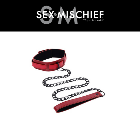 eX's and Oh's Collar and Leash