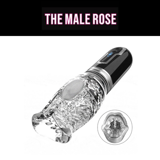 The Male Rose 3