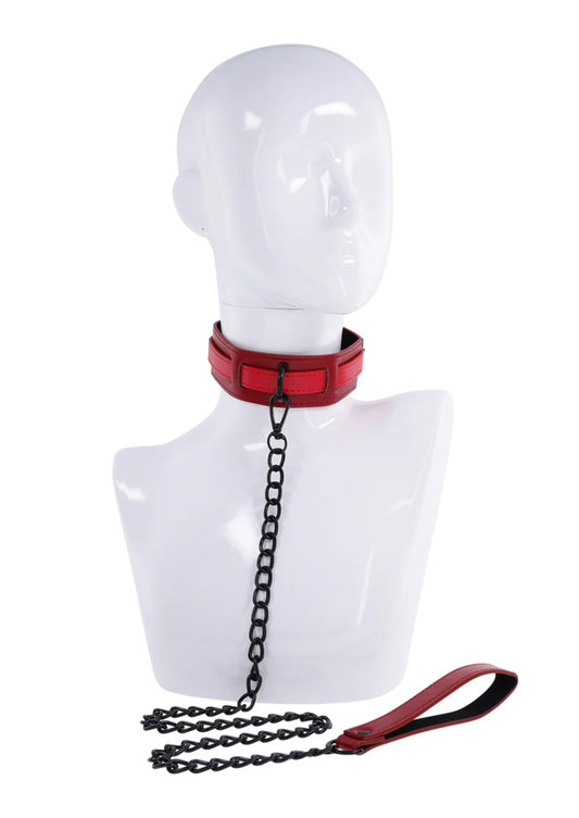 eX's and Oh's Collar and Leash