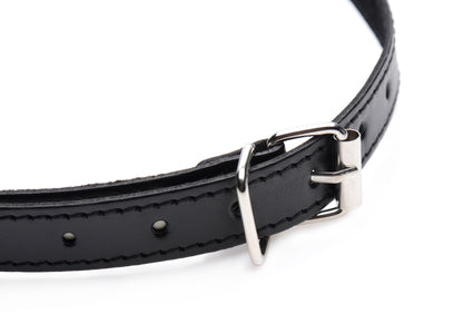 Padded Blindfold & Gag Set