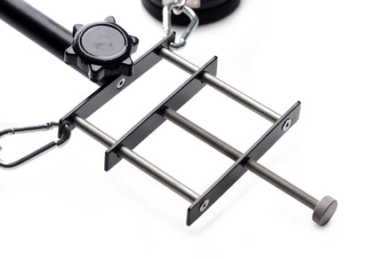 Penis Pillory Set