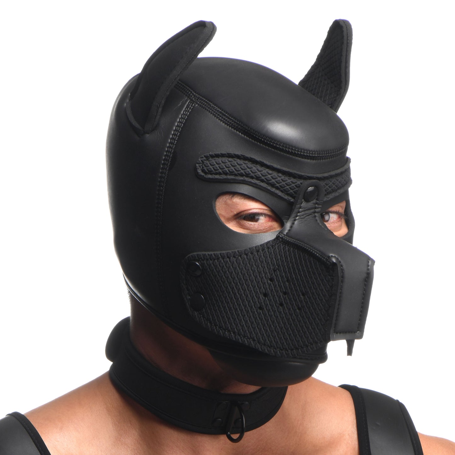 Master Series Full Pup Arsenal Set