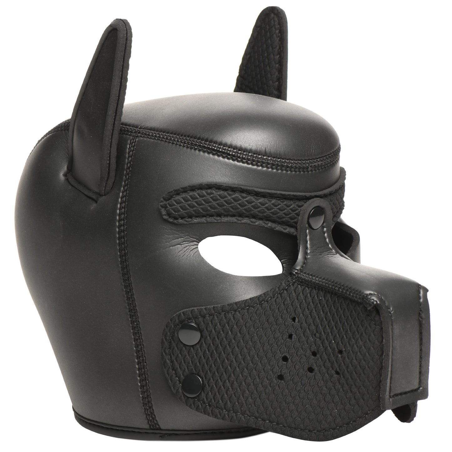 9Pc Deluxe Pup Arsenal Set