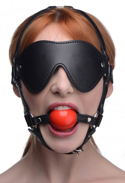 Blindfold Harness And Ball Gag