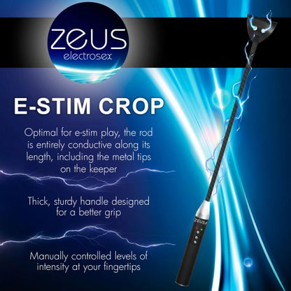Zeus Electrosex E-stim Crop